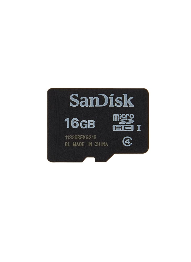 SanDisk 16 GB Class 4 Micro-SD Flash Card
