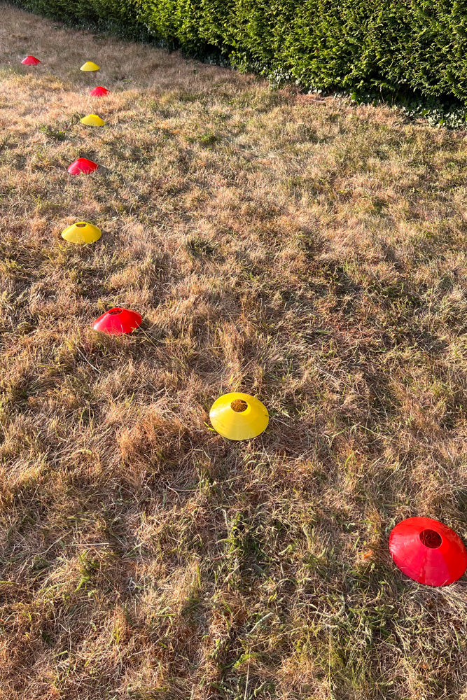 LDARC FPV Race Track Marker Cones (10Pcs)